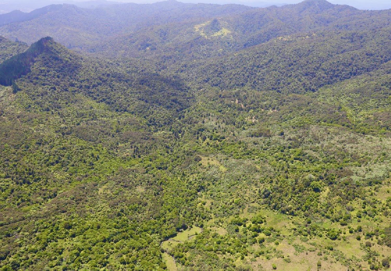 View of local landscape