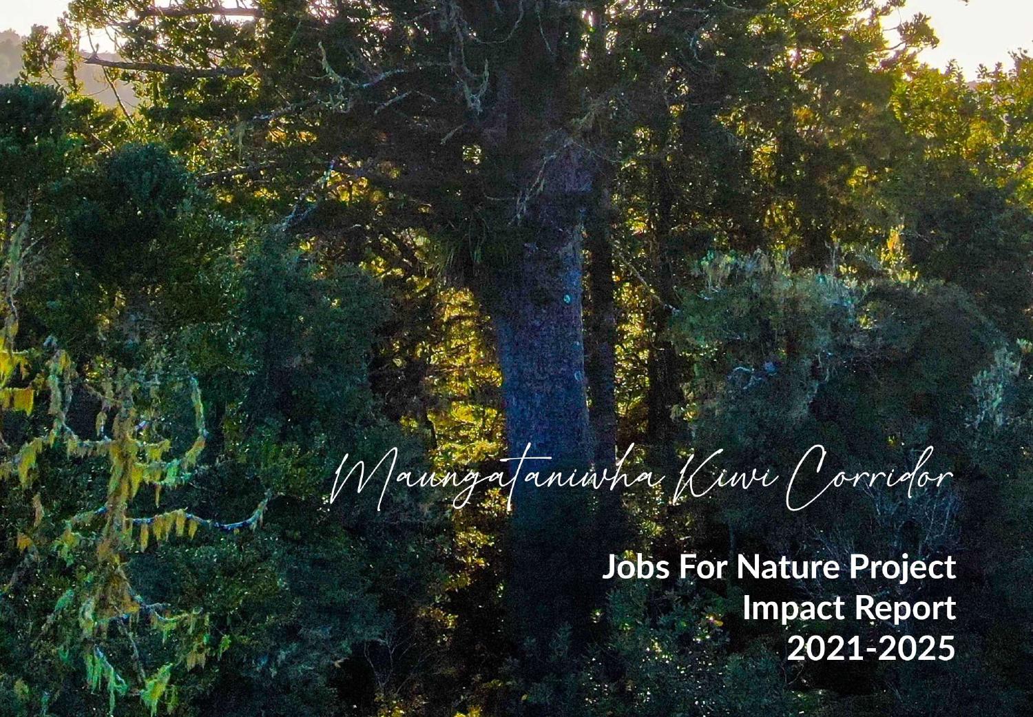 Maungataniwha Kiwi Corridor Project Impact Report Cover showing native bush