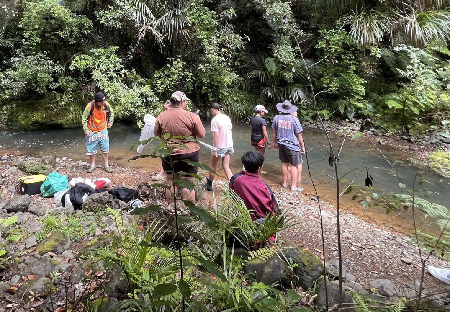 Panui news letter November 2025 - view of local river with people doing stream biodiversity sampling and identification