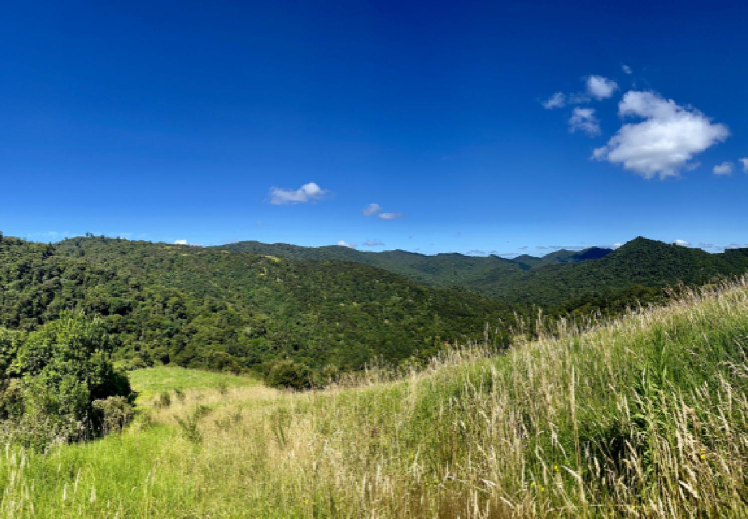 View of the land