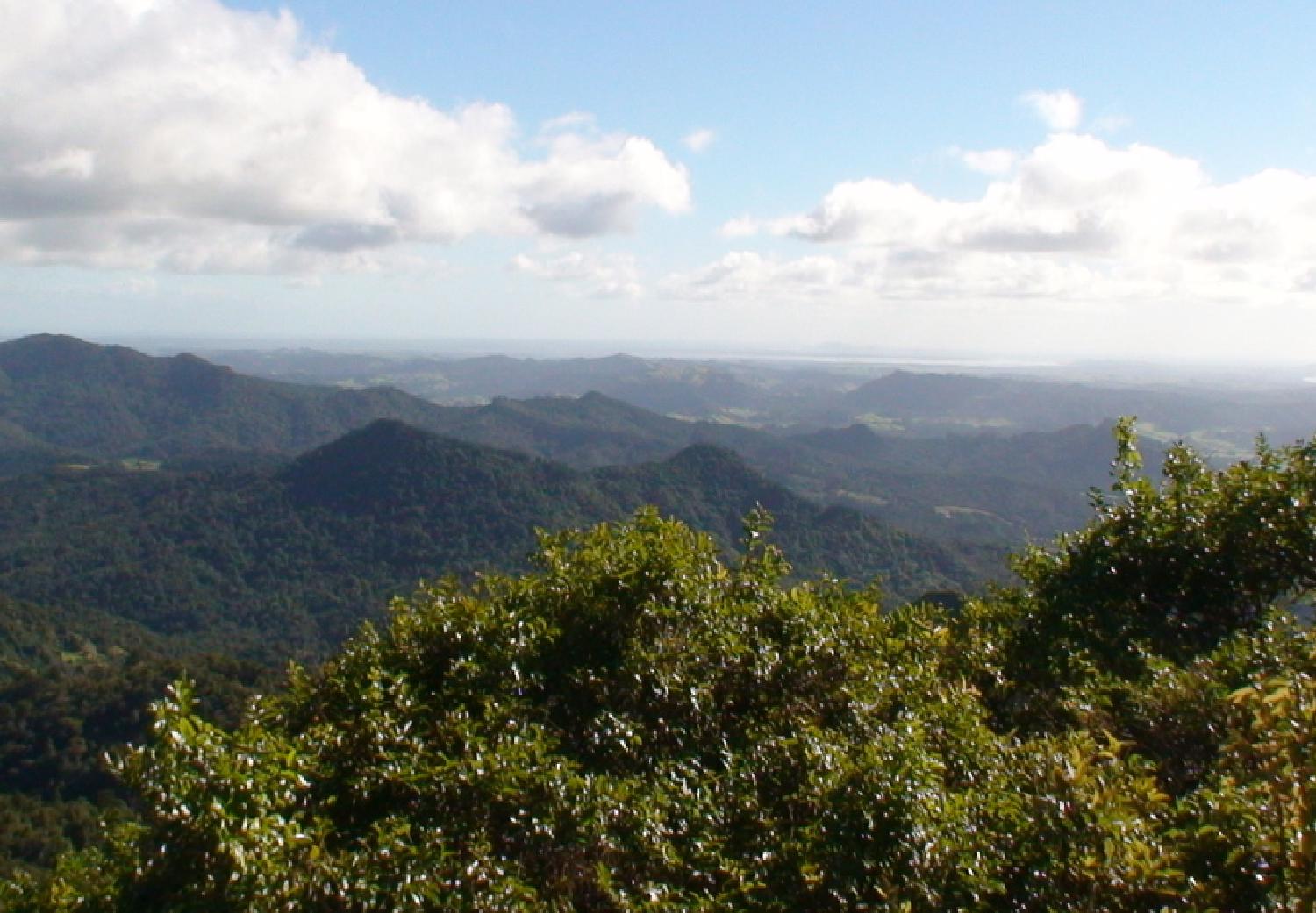 View of local landscape